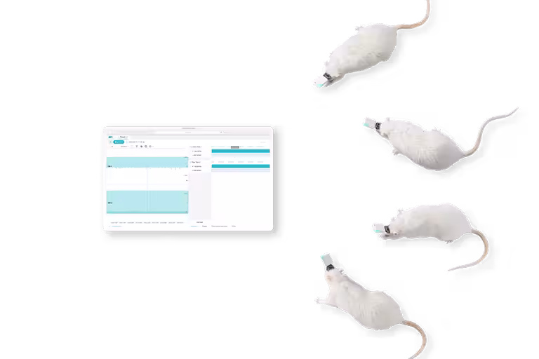 Wireless Transmission