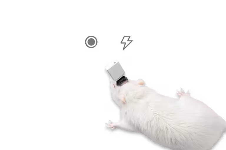 Stim/Rec with same channel